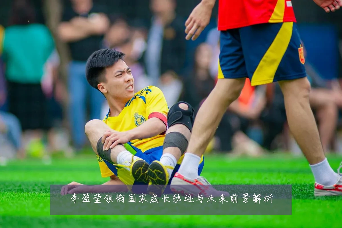 李盈莹领衔国家成长轨迹与未来前景解析